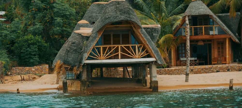 Beach Accommodation in Agnes Water FAQ: Are Pet-Friendly Options Available?