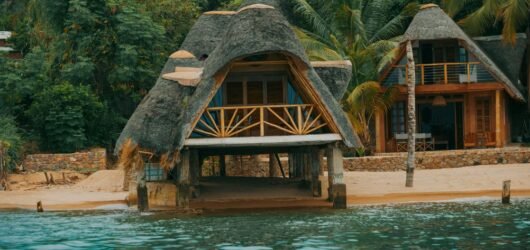 Beach Accommodation in Agnes Water FAQ: Are Pet-Friendly Options Available?